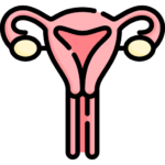 Women's Health